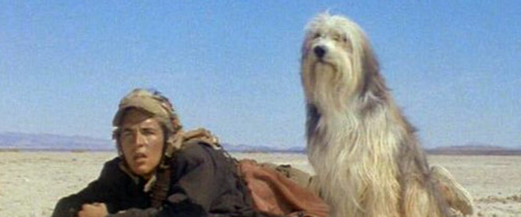 The 10 Best Movies With the Fewest Humans as Humanly Possible